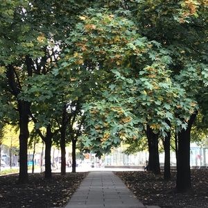 Meet your Posher, Genevieve